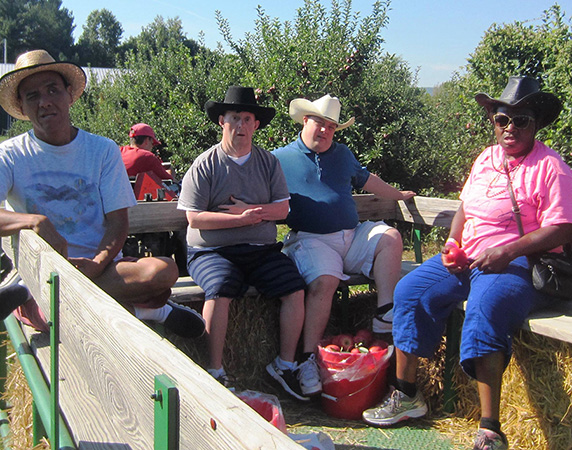 hayride on a sunny day